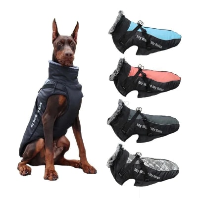 Marbenpets Parka Cuello Peludo