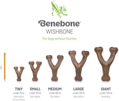 Juguete Perros Benebone Wishbone Bacon