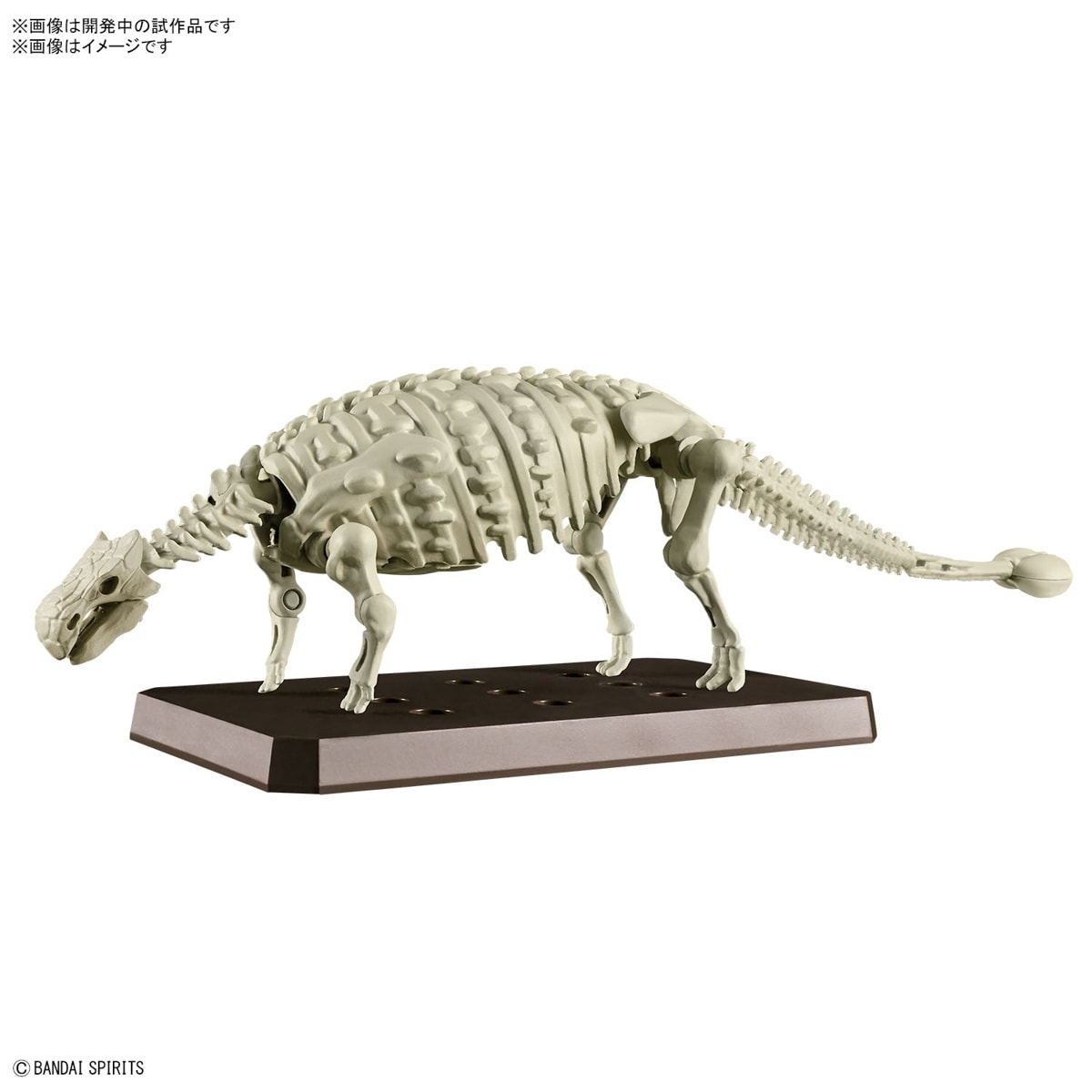 Model Kit - Plannosaurus - Ankylosaurus2