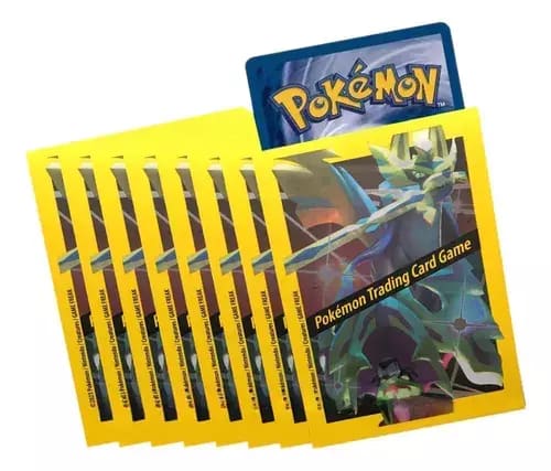 Pokémon TCG: Protectores Zacian & Zamazenta (Crown Zenith - Shiny Zacian & Shiny Zamazenta Premium Figure Collection Boxes)1