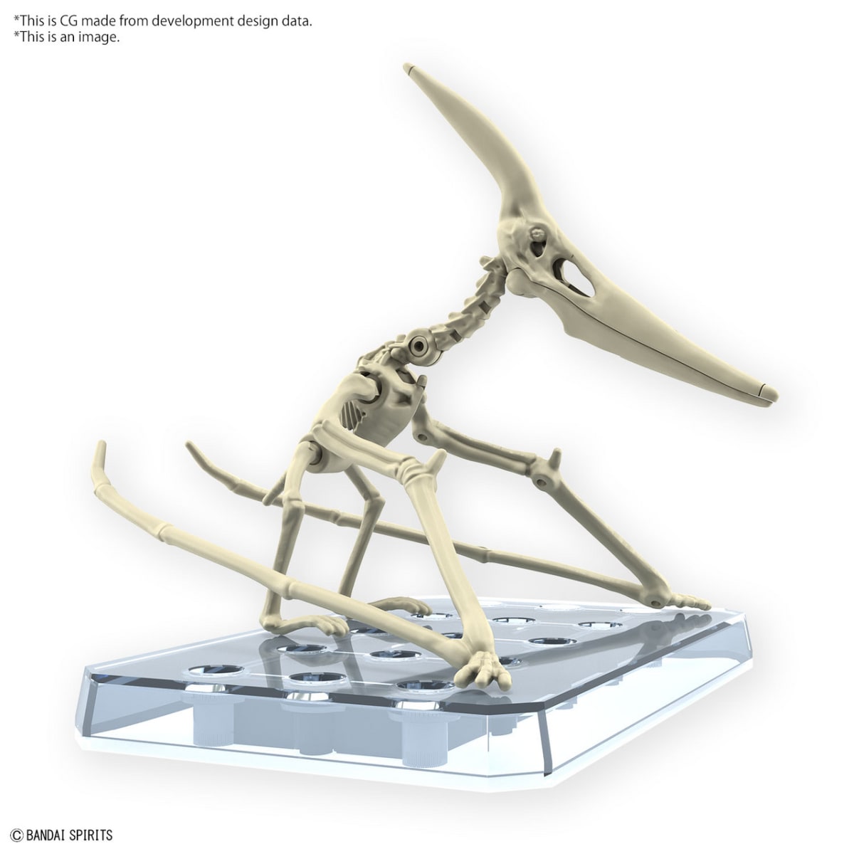 Model Kit - Plannosaurus - Pteranodon2