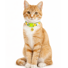 COLLAR PIÑAS TALLA XS
