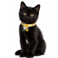 COLLAR MOSAICO TALLA XS