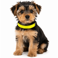 COLLAR REFLECTIVO TALLA S