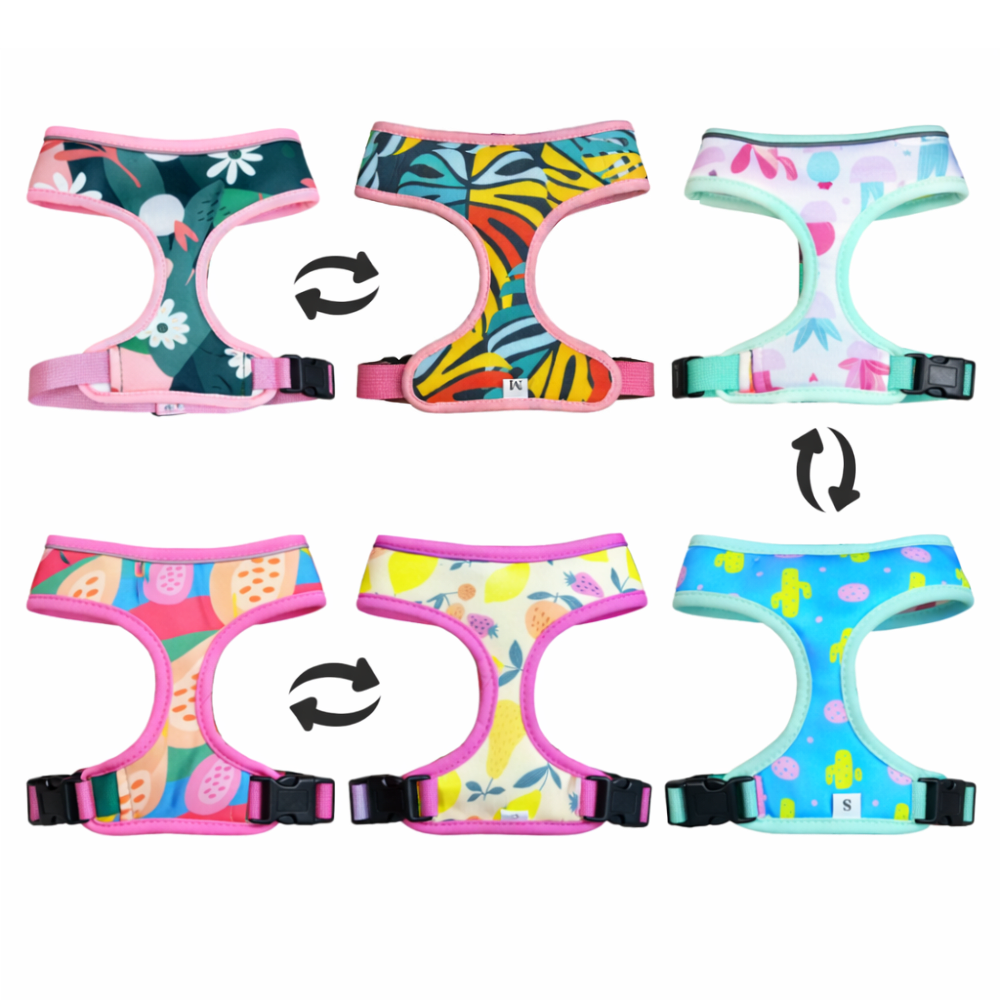 PECHERA REVERSIBLE1