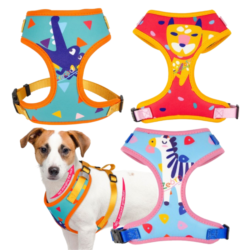 PECHERA PRETTY DOG2