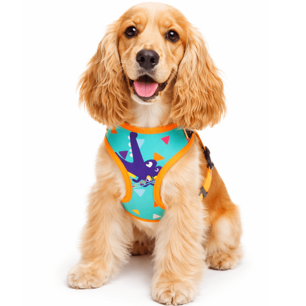 PECHERA PRETTY DOG1