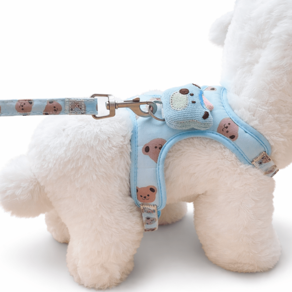 PECHERA TEDDY + CORREA TALLA XS2