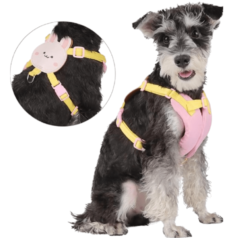 PECHERA SWEET ANIMALS + CORREA2