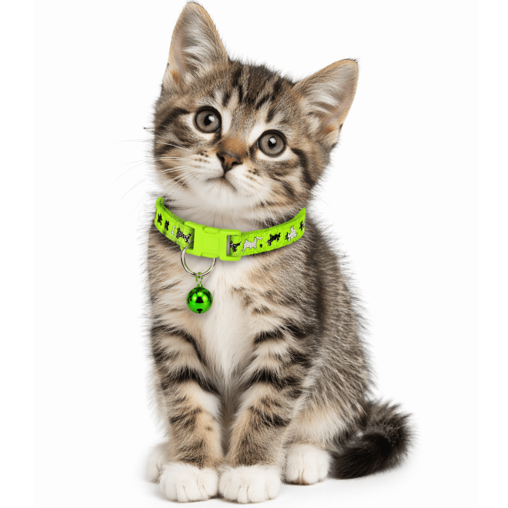 COLLAR DOGGIES TALLA XS1
