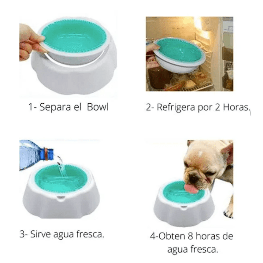 PLATO REFRIGERANTE3
