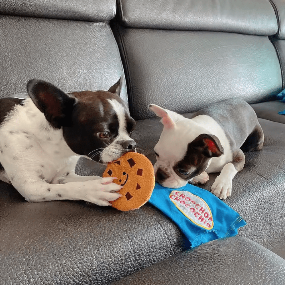 PELUCHE CHOCOCHIP3