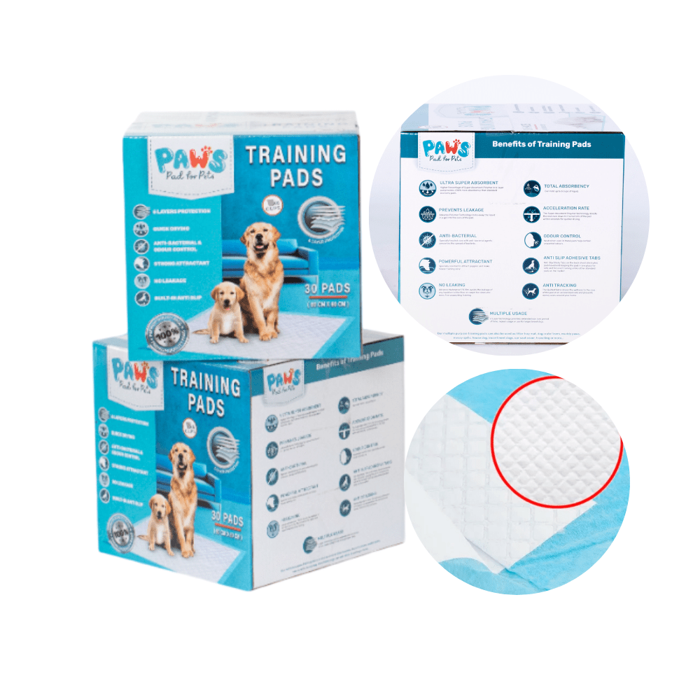 PAÑAL TALLA L (60x60cm) DE 30 UND PAWS FOR PAD2