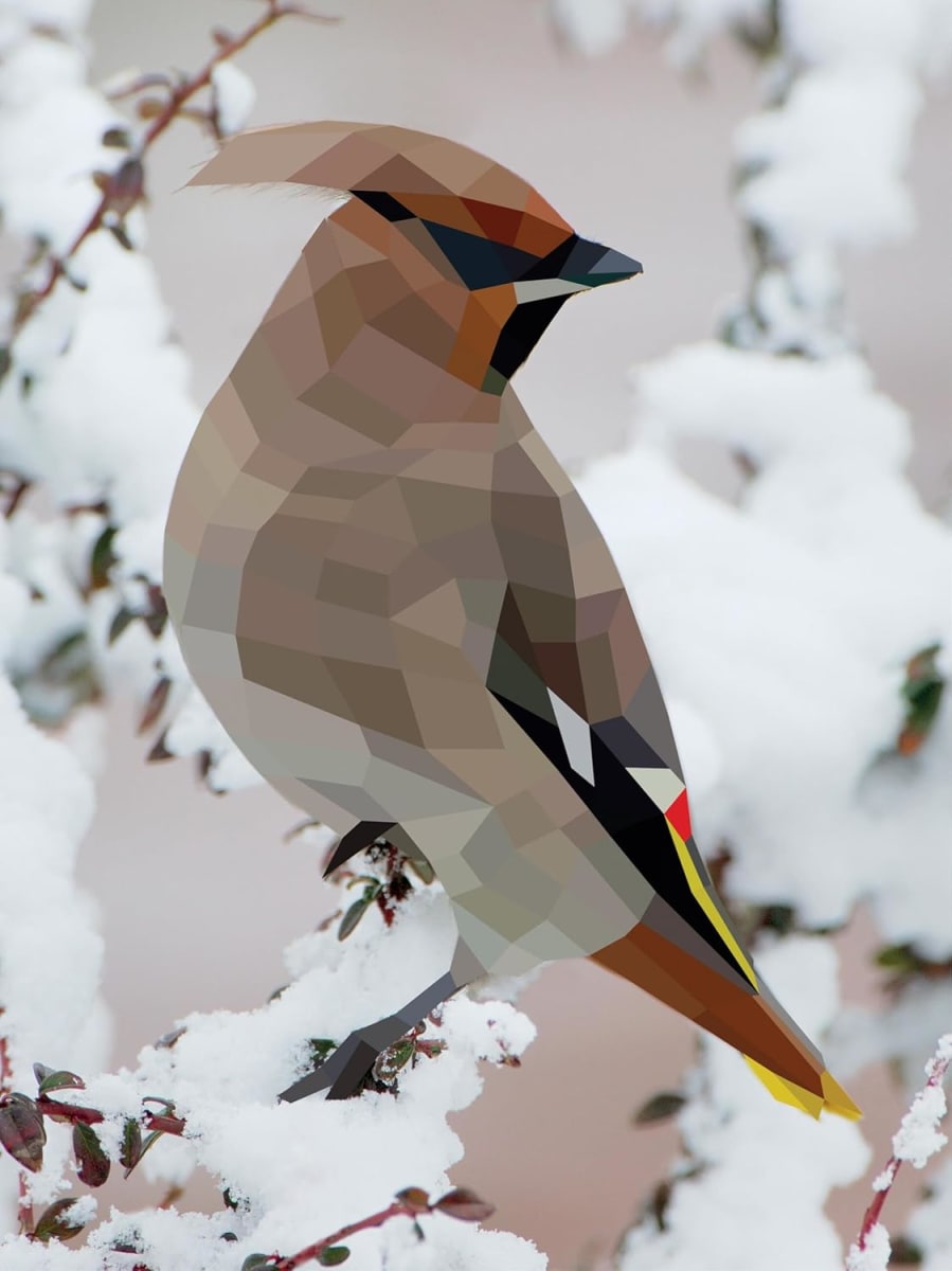 Workman Paint By Stickers / Pinta Con Stickers, Aves3