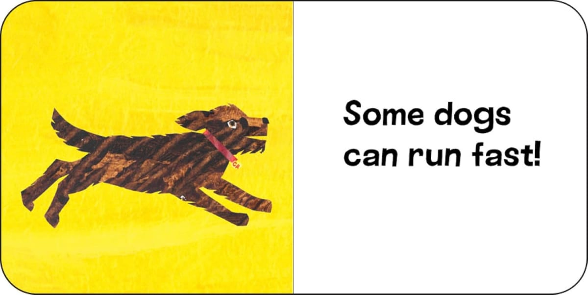 World Of Eric Carle, My First Library 12 Animal Board Book Set2