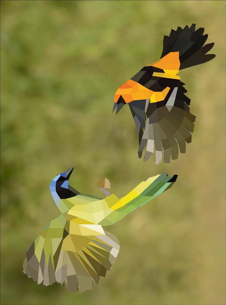 Workman Paint By Stickers / Pinta Con Stickers, Aves5