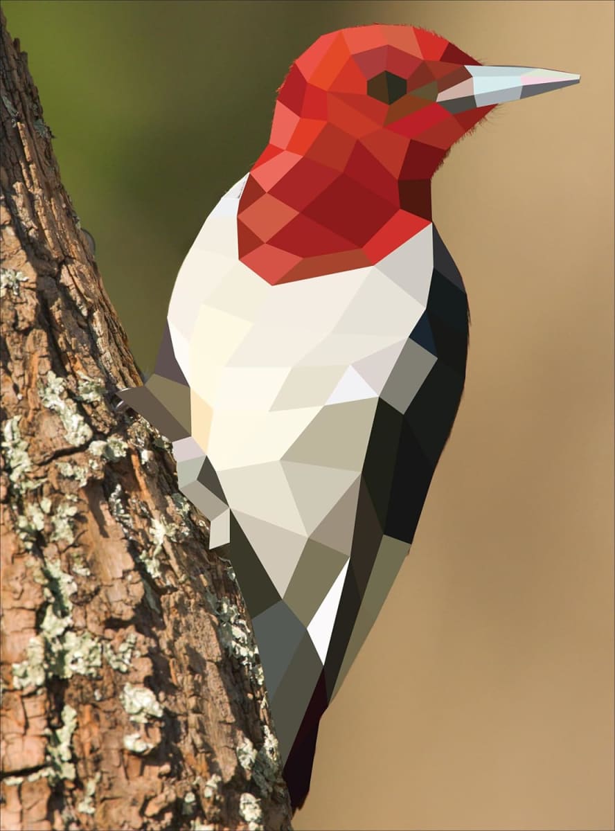 Workman Paint By Stickers / Pinta Con Stickers, Aves8