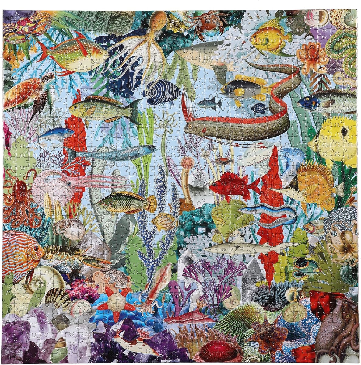 Puzzle 1000 Piezas Gemas y Peces4