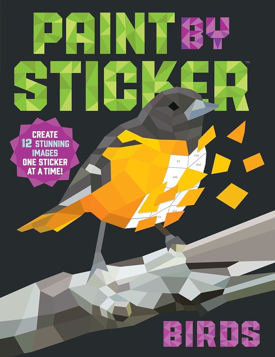 Workman Paint By Stickers / Pinta Con Stickers, Aves9
