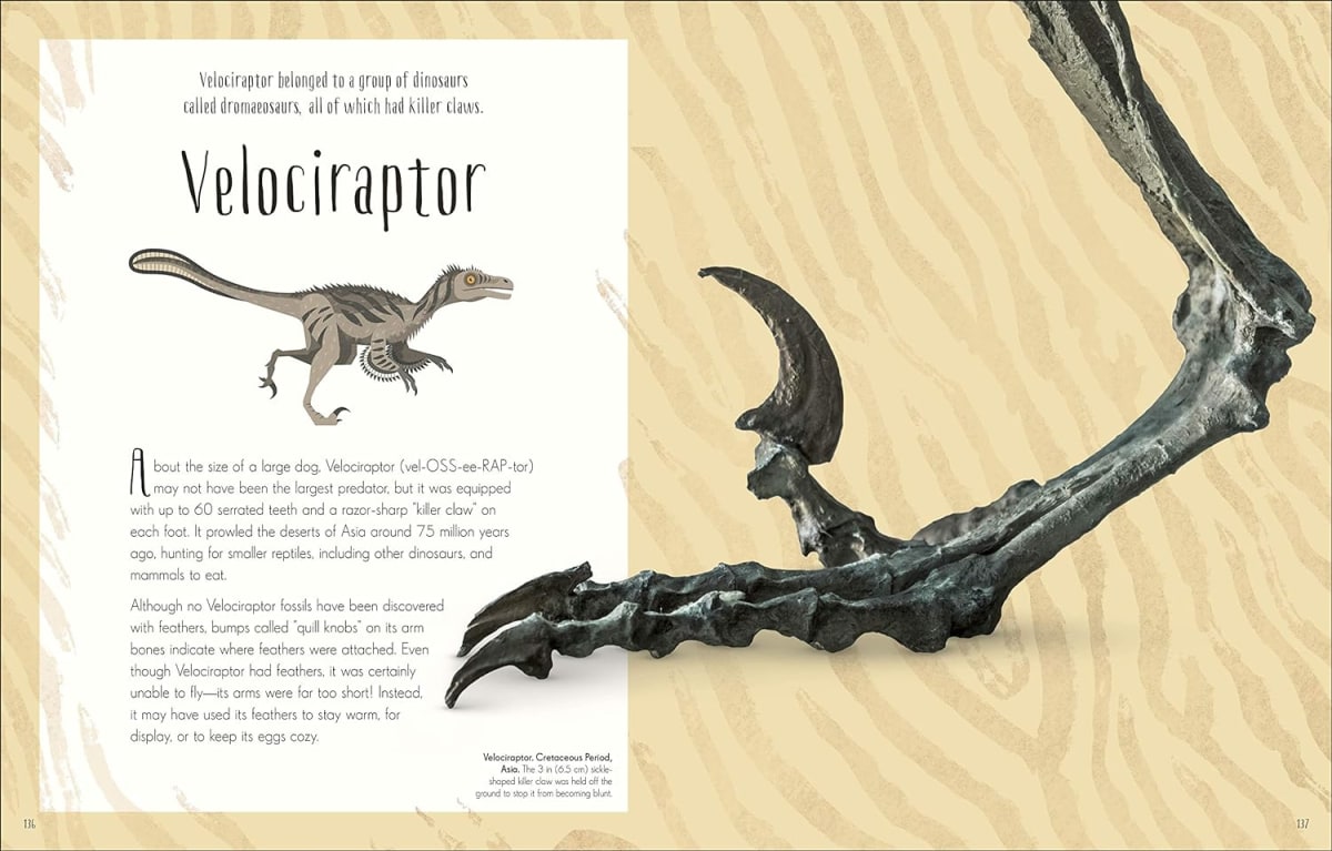 (Dk) Dinosaurs And Other Prehistoric Life, Tapa Dura2