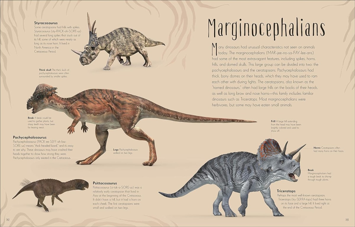 (Dk) Dinosaurs And Other Prehistoric Life, Tapa Dura3