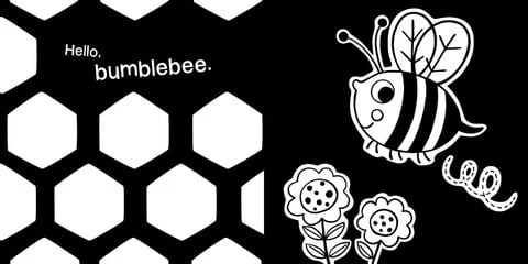 Hello, Garden Bugs, Board Book - Libro De Cartón2