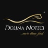 DOLINA NOTECI