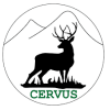 CERVUS