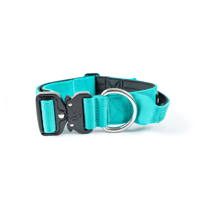 STREET DOGS COLLAR COMBAT 4 CM TURQUESE