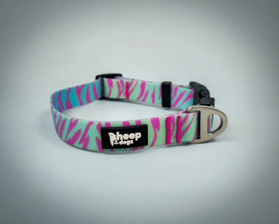 SHEEPDOGZ COLLAR IMPERMEABLE TIGRE1