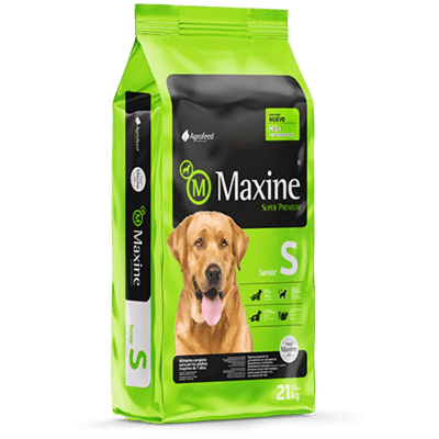 MAXINE SENIOR DOG 21 KG