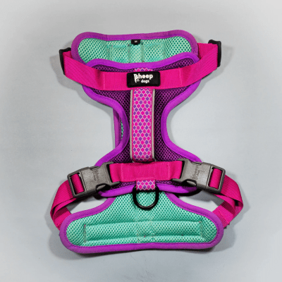 SHEEPDOGZ ARNÉS PUELO - PICAFLOR DE ARICA1