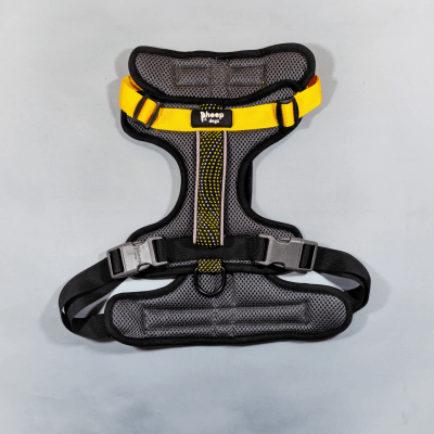 SHEEPDOGZ ARNÉS PUELO - PINGÜINO CHILENO1