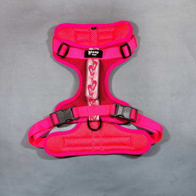 SHEEPDOGZ ARNÉS PUELO - FLAMENCO1