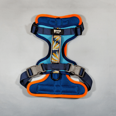 SHEEPDOGZ ARNÉS PUELO - MARTÍN PESCADOR1