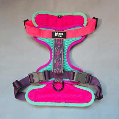 SHEEPDOGZ ARNÉS PUELO - CHILCO