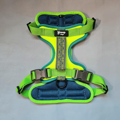 SHEEPDOGZ ARNÉS PUELO - CHAGUAL1