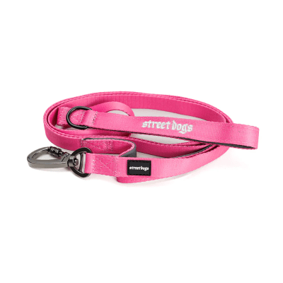 STREET DOGS CORREA ADIESTRAMIENTO PINK 1,8 METROS