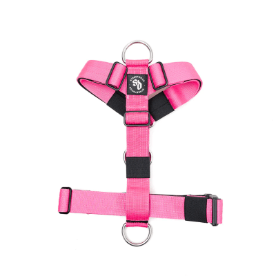 STREET DOGS ARNES STRAP PINK1