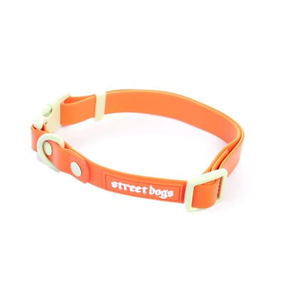 STREET DOGS COLLAR PVC ORANGE1
