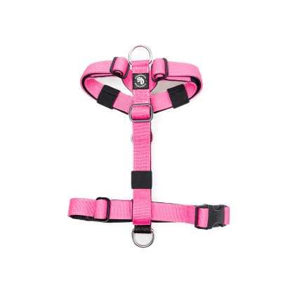 STREET DOGS ARNES MINI STRAP PINK TALLA S