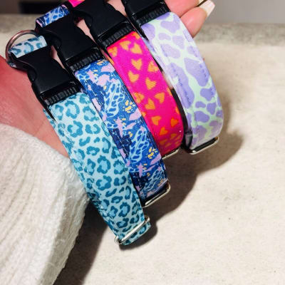 COLITAS SUREÑAS COLLAR DE PERRO