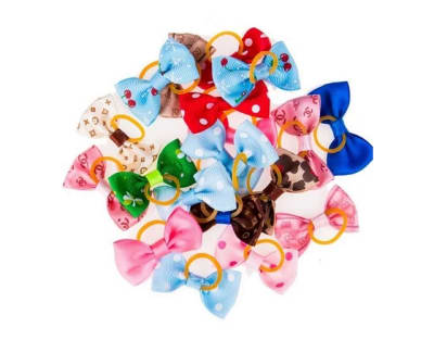 CAMON MOÑO PARA PERRITOS1