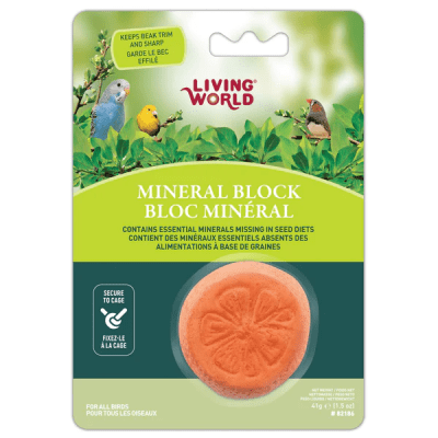 LIVING WORLD BLOQUE MINERAL NARANJA