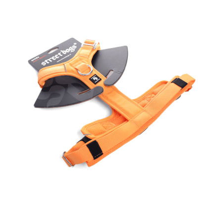 ARNES AEROSPORT ORANGE1
