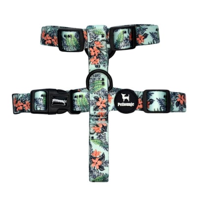 PETLOUNGE Arnés H Perro/Gato