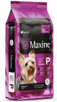 MAXINE ADULTO PERRO RAZA PEQUEÑA