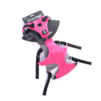 ARNES ANTIESCAPE PINK1
