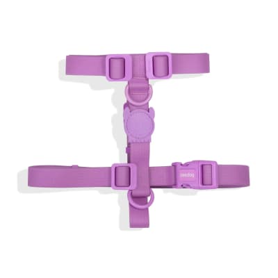 ZEEDOG NEOPRO VIOLET HARNESS
