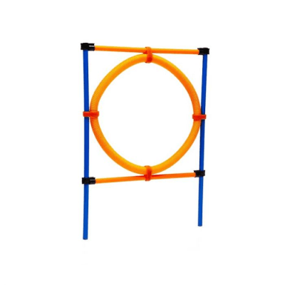 PAWISE ARO AGILITY DE ENTRENAMIENTO1